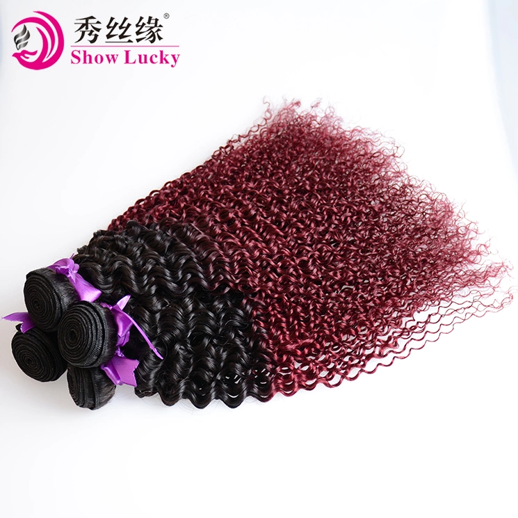 High Quality Brazilian 9A Grade Ombre 1b/99j Red Unprocessed 100% Virgin Brazil Kinky Curly Human Hair Weave