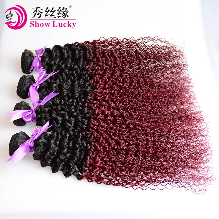 High Quality Brazilian 9A Grade Ombre 1b/99j Red Unprocessed 100% Virgin Brazil Kinky Curly Human Hair Weave